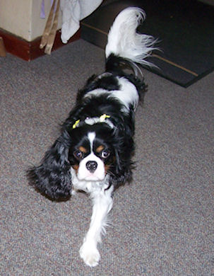 Bertie_Apr12.jpg
