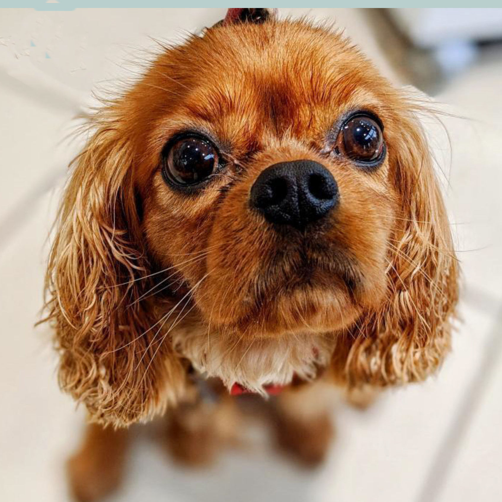 Bugsy-2020_12_20.jpg