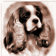 CH_Cherokee_of_Rossbonny_at_Delhaze.jpg