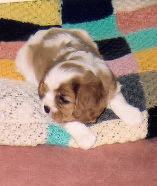Cassie-2002.jpg