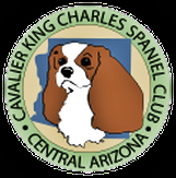 Central_Arizona_Club_Badge.jpg