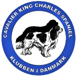 Denmark_Club_Badge.jpg