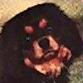 Downsbank_Benedictine.jpg