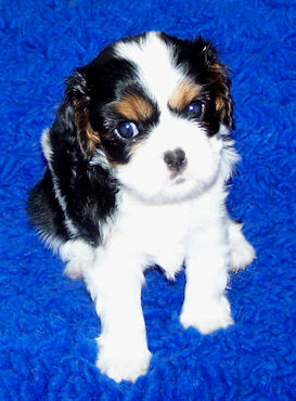 Ella-Jul09.jpg