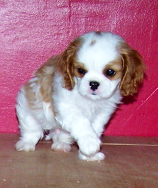 Harry-Aug09.jpg