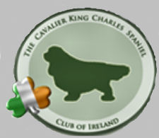 IrishClubBadge.jpg