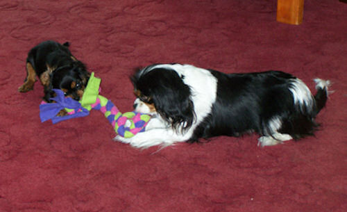 Jade-Lucy-May08.jpg