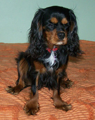 Jade-Oct08-1.jpg