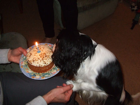 Jasper-1st-Birthday.jpg