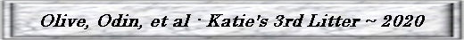 Katie3rdRainbowButton.jpg