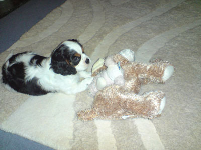 Louis-19Feb09-2.jpg