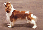Maibee_Delores-1.jpg