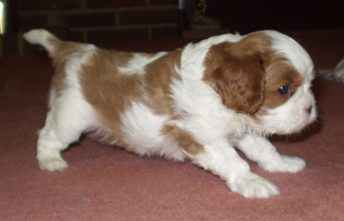 Max-2003.jpg