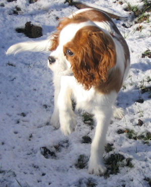 Max-2005.jpg