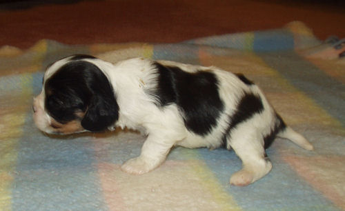 Monty-2004.jpg