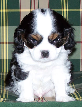Monty2-2007.jpg