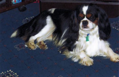 Monty2-Dec09.jpg