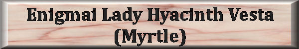 Myrtle_JPEG_Button.jpg