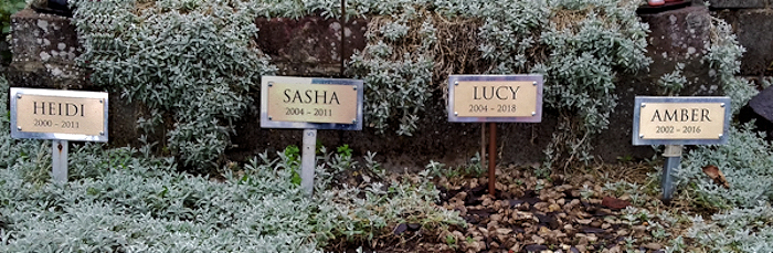 New_Grave_Markers-Heidi_Sasha_Lucy_Amber-Sep18.jpg