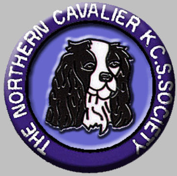 NorthernBadge.jpg