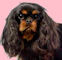 Rabymar_Posh_Spice-2.jpg