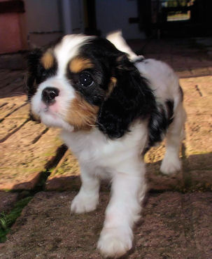Ralph-2004.jpg