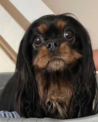 Ralph2-2022_02_25-2.jpg