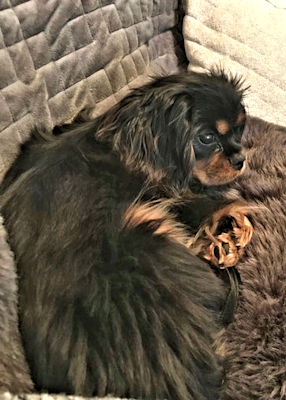 Ralph2_Riley-1_Dec18.jpg
