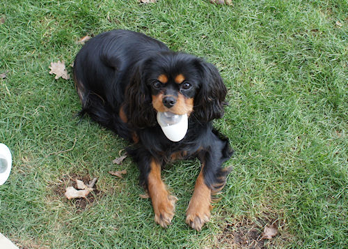 Riley_Feb12.jpg