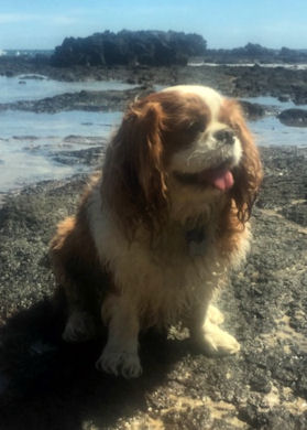 Ruby_Beach_Feb16.jpg