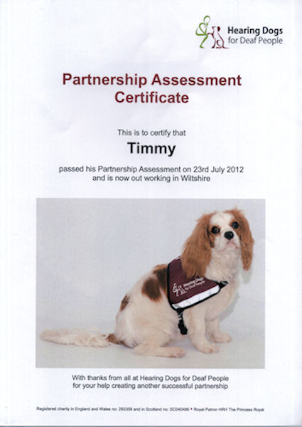 Timmy-Cert.jpg